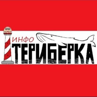 Telegram chat Териберка инфо logo