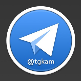 Telegram chat TG Группы Камчатка logo