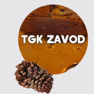 Telegram chat TGK ZAVOD Chat logo