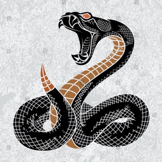Telegram chat Black Snake | Chat logo