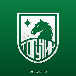 Telegram chat Тогучин logo