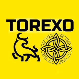 Telegram chat TOREXO (Project X) MyTeam logo
