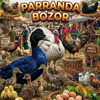 Telegram chat parranda va tovuqlar logo