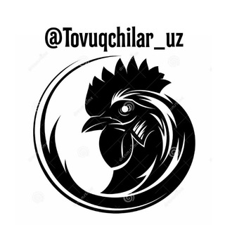 Telegram chat TOVUQCHILAR UZ 🇺🇿 logo