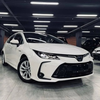 Telegram chat Toyota Corolla / Королла Club logo