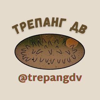 Telegram chat Трепанг ДВ Чат logo
