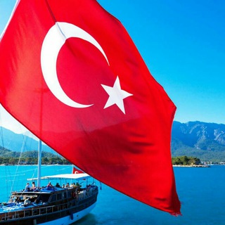 Telegram chat Флудилка Турция logo