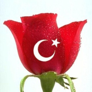 Логотип телеграм-чата turkishlifegood — Турция. Алания. Недвижимость, жизнь и работа.🇹🇷