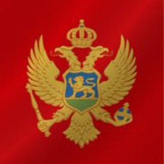 Telegram chat Українці в Чорногорії logo