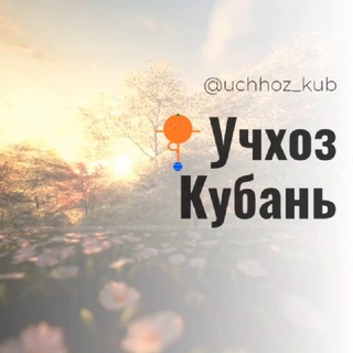 Telegram chat Учхоз Кубань Калинина Красных партизан Краснодар Знакомства Чат Общение Познакомиться Нетворкинг Группа Барахолка объявлени logo