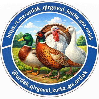 Logotipo do chat do Telegram urdak_qirgovul_kurka_goz_ordak — Фазанлар . Товуслар . Sisarkalar . Ўрдаклар . Ғозлар . Куркалар .