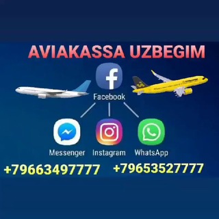 Telegram chat AviaKassa_Uzbegim logo