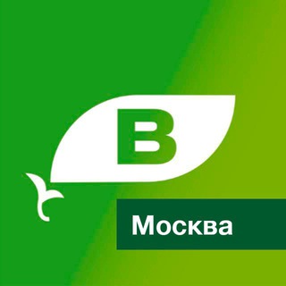 Telegram chat Клуб ВегМарт Москва logo