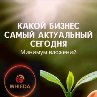 Telegram chat ☘️ ЗОЖ💰ПРОЦВЕТАНИЕ📈💵 logo