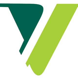 Telegram chat VG ACADEMY logo