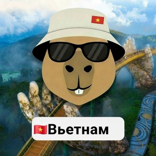 Telegram chat Вьетнам 🇻🇳 чат Нячанг Дананг logo