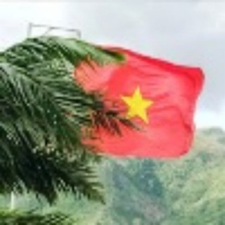 Telegram chat Вьетнам 🇻🇳 Нячанг Чат logo