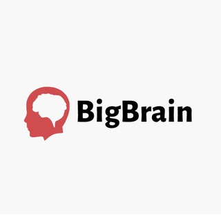 Telegram chat BigBrain group logo
