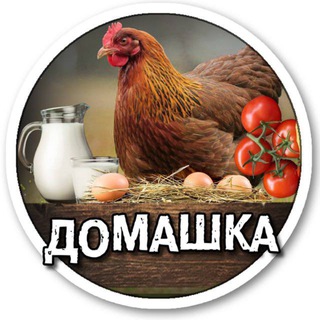 Telegram chat ВСЁ ДОМАШНЕЕ Лазаревское logo
