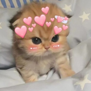 Telegram chat ВЗАИМНАЯ ПОДПИСКА 💕 РЕАКЦИИ 💕 ПИАР ЧАТ logo
