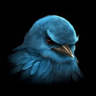 Telegram chat Взаимные Подписки 🫂 ВП logo