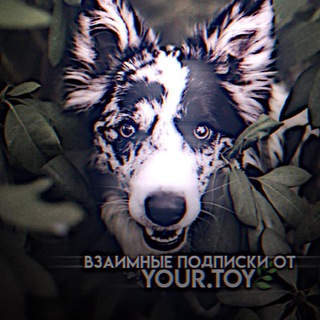 Логотип телеграм-чата vzotlolu — взаимные от Your.Toy