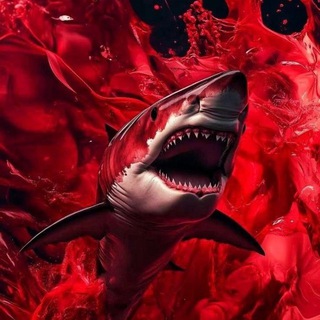 Telegram chat Взаимные подписки тгк🦈взаимная подписка logo