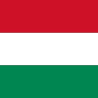 Telegram chat 🇭🇺 Венгрия чат logo