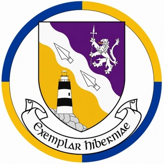 Telegram chat Украинцы в Wexford 🇮🇪 | Gorey | Enniscorthy | New Ross logo