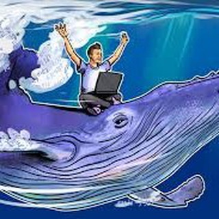 Telegram chat WhalersClub🐳 logo