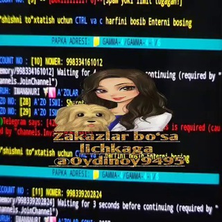 Telegram chat Xalol va sifatli aktif odam qoʻshish xizmati logo
