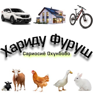 Telegram chat Хариду🤝Фуруш logo
