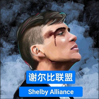 Telegram chat 🔥谢尔比联盟丨出海交流群 logo