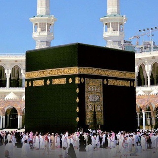 Telegram chat UMRA ZIYORATI logo