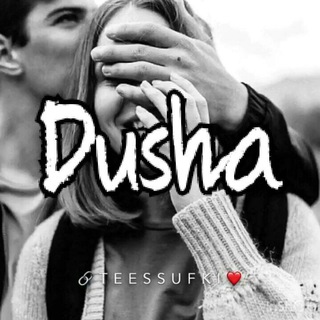 Telegram chat DuSHa logo