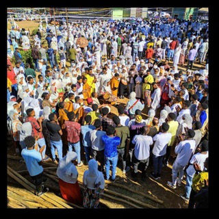 የቴሌግራም ውይይት አርማ zemariwochu3 — የሽብሸቦ መዝሙሮች👏👏👏