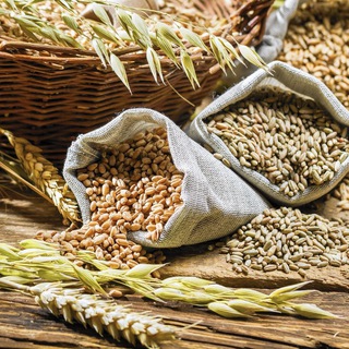 Telegram chat Агро 🌾 СХП в СНГ logo