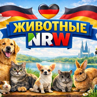 Telegram chat Животные NRW 🇩🇪 | Продажа и покупка • Помощь • Советы • Уход logo