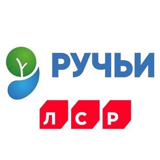 Telegram chat ЖК РУЧЬИ |Общий| ЛСР logo