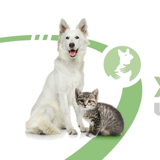 Логотип телеграм-чату zoovolonterche — ЧАТ_ЗООВОЛОНТЕРИ ЧЕРНІГОВА🐱ДОПОМОГА ТВАРИНАМ 🇺🇦УКРАЇНА, ЧЕРНІГІВ