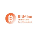 Bitmine Immersion Technologies (Derivatives)