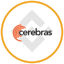 Cerebras Tokenized bStocks