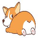 Corgi Inu (corgibnb.com)