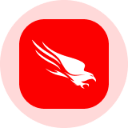CrowdStrike Holdings Inc (Derivatives)