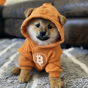 Own The Doge