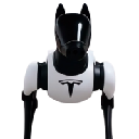 Tesla Dog