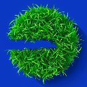 Grass