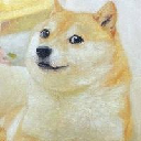 Kabosu Inu