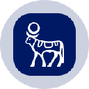Novo Nordisk Tokenized Stock (Ondo)