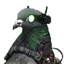 PJN